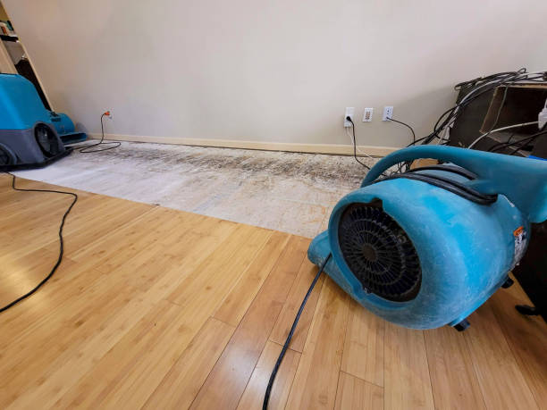 Professional Burst Pipe Water Damage technician working in Fletcher, NC